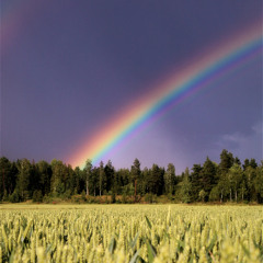 Midsummer for Trumpet, String Orchestra, piano