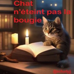 1 Chat n'éteint pas la bougie