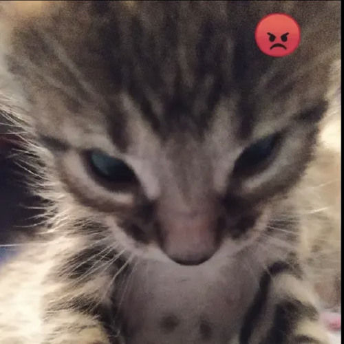 RJ X TU GOSTA DE BATER NE NEYMAR TIKTOK - MCs NICK E GW - [ DJ DR7 ORIGINAL]