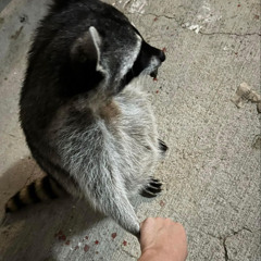 taky můžeš mít, co si budeš přát a co budeš chtít!