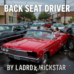 Back Seat Driver