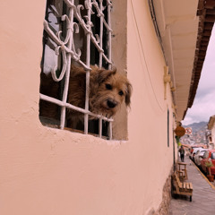 Summer’s Over x Berriat Players