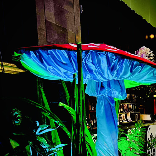 Music from BD gift 🥰