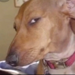 Baby rich- peace of mind