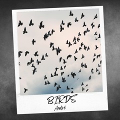 Birds Dubstep - Andrea Alzate