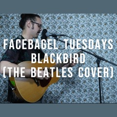 Facebagel Tuesdays Present: Blackbird by The Beatles