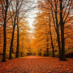 Fall In The Air
