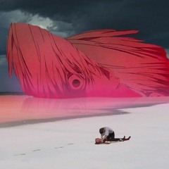 Requin Chagrin // Adélaïde (live _ Labomatic Studios 2017)