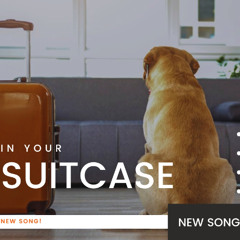 In Your Suitcase