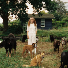 The Dog