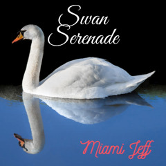 "SWAN SERENADE" (Video - https://youtu.be/f_uyuPBMoMY)