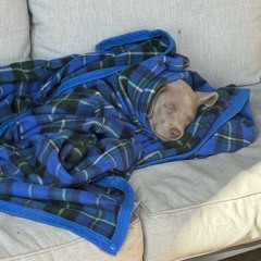 RAISE HELL UNMIXED.mp3