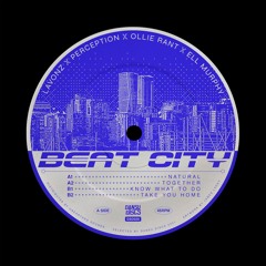 [DSD029] Lavonz x Perception x Ollie Rant x Ell Murphy - Beat City EP