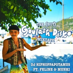 The (not)Goulash Disko Mixtape 2020 - Hiphoppapotamus Ft. Feline & Munki