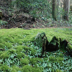 Log_20221210（demo）