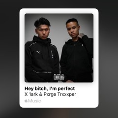 Hey b*tch, I'm perfect (instrumental)