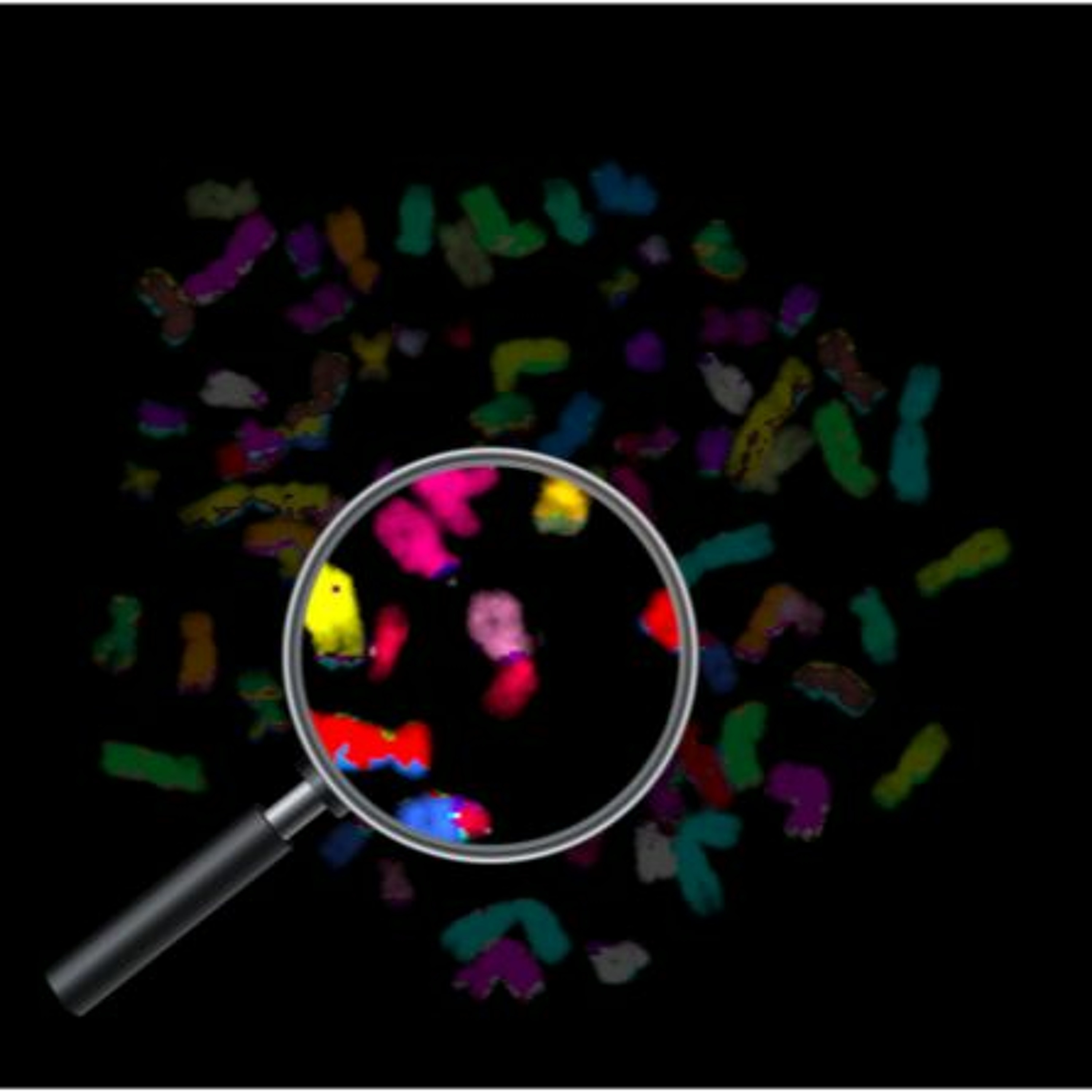 Oncotarget