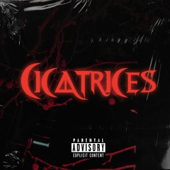 cicatrices