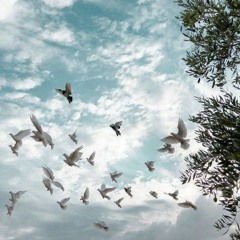 إِنَّ يَوْمَ الْفَصْلِ كَانَ مِيقَاتًا || سورة النبإ - بصوت الشيخ محمد أيوب.