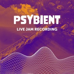 Psybient Live Jam