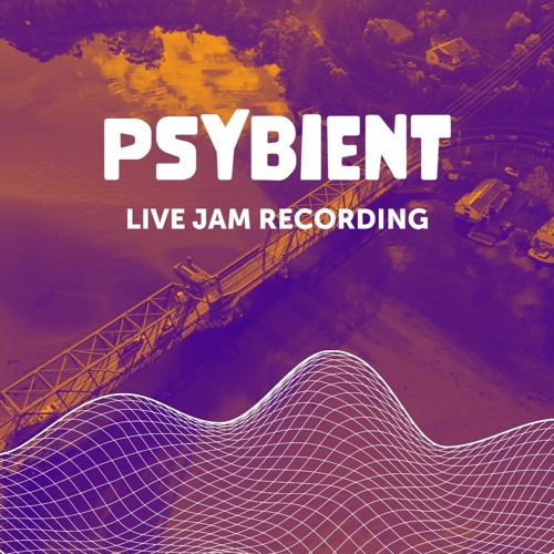 Psybient Live Jam