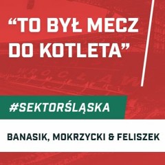 ''To był mecz do kotleta'' (podcast Sektor Śląska, odc. 117)