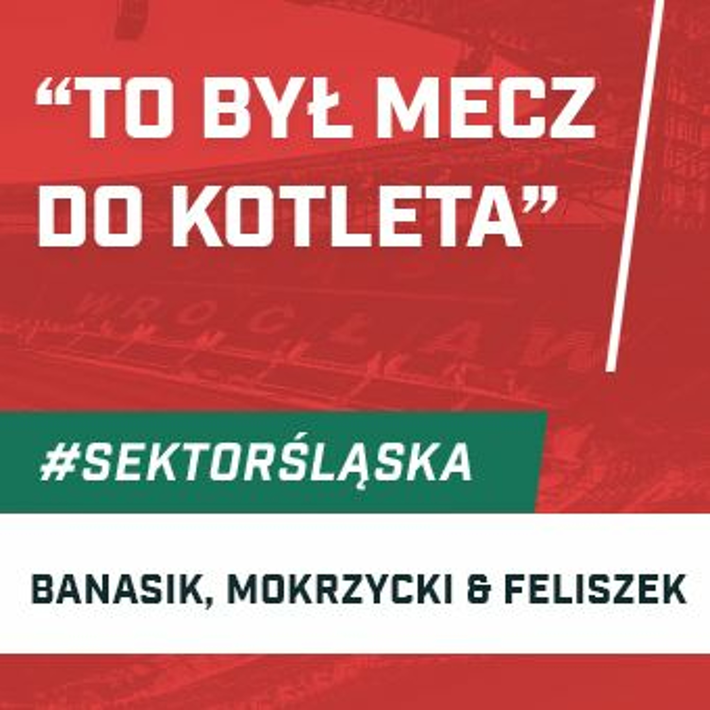 Śląsknet