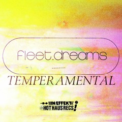 fleet.dreams - That Look