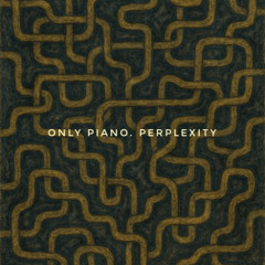 Perplexity