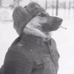 Dog Shaped Missile