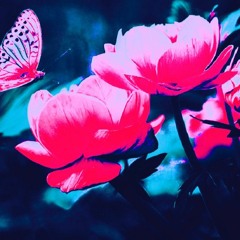 "毎日だな" prod. JULLY