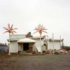 The Face of Another (Golden Bug Remix)