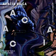 Acacia Baila - IPR 081221 - Vlad Dobrovolski