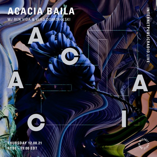 Acacia Baila - IPR 081221 - Vlad Dobrovolski