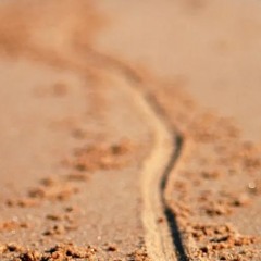 Let's Hear It For The Borderline