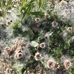 A Month of Sundays w/ Bill Spencer 090624