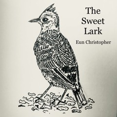 The Sweet Lark
