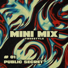 PUBLIC SECRET | FREESTYLE MINI MIX 01