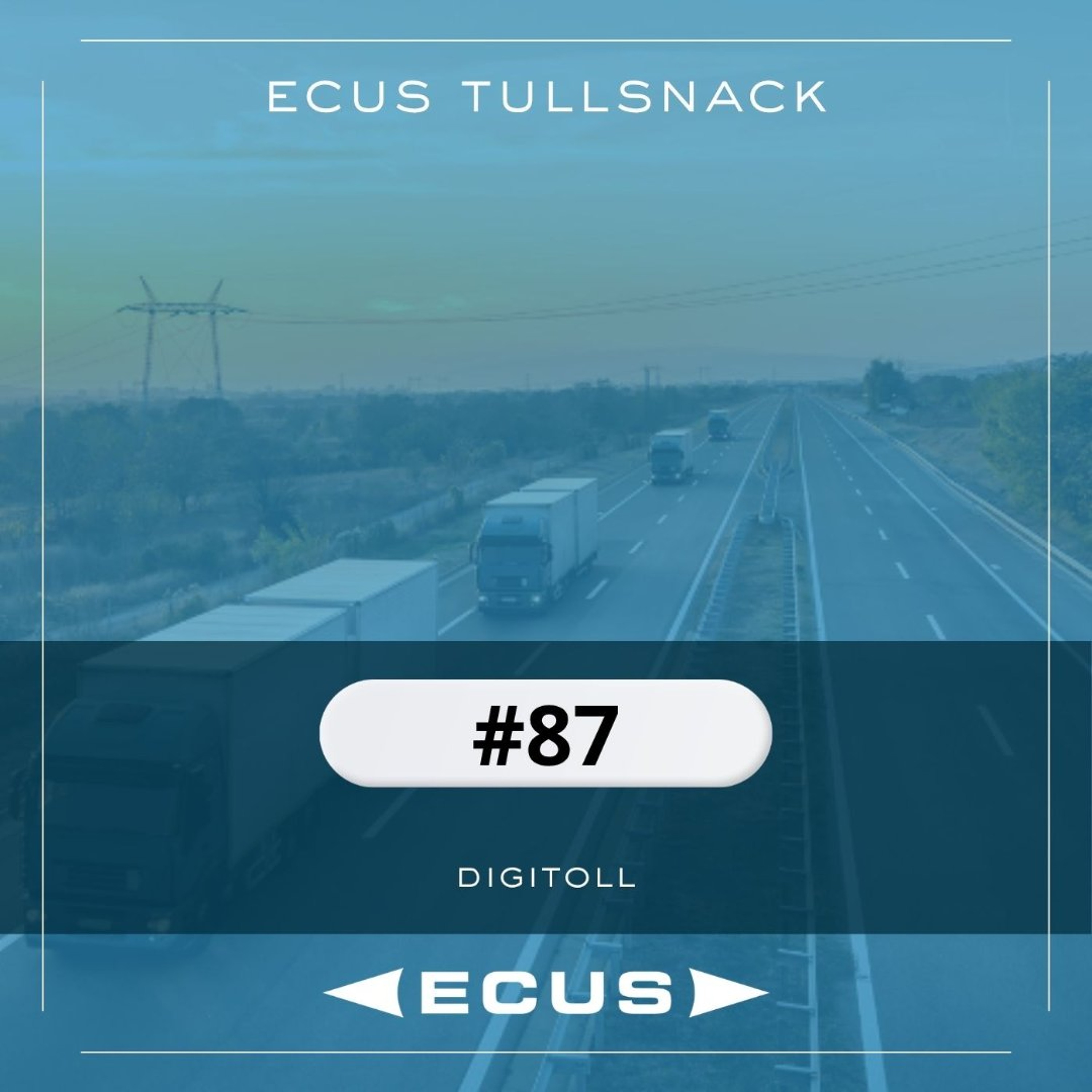Artwork for Tullpodden