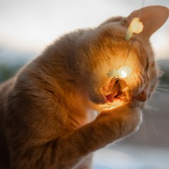 ALLAH_ALLAH_YA_BABA_new_tiktok_virel_arbic_full_song_2022(36.mp3