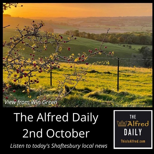 The Alfred Daily - 2nd October 2021