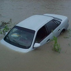 Sprinter In The Water