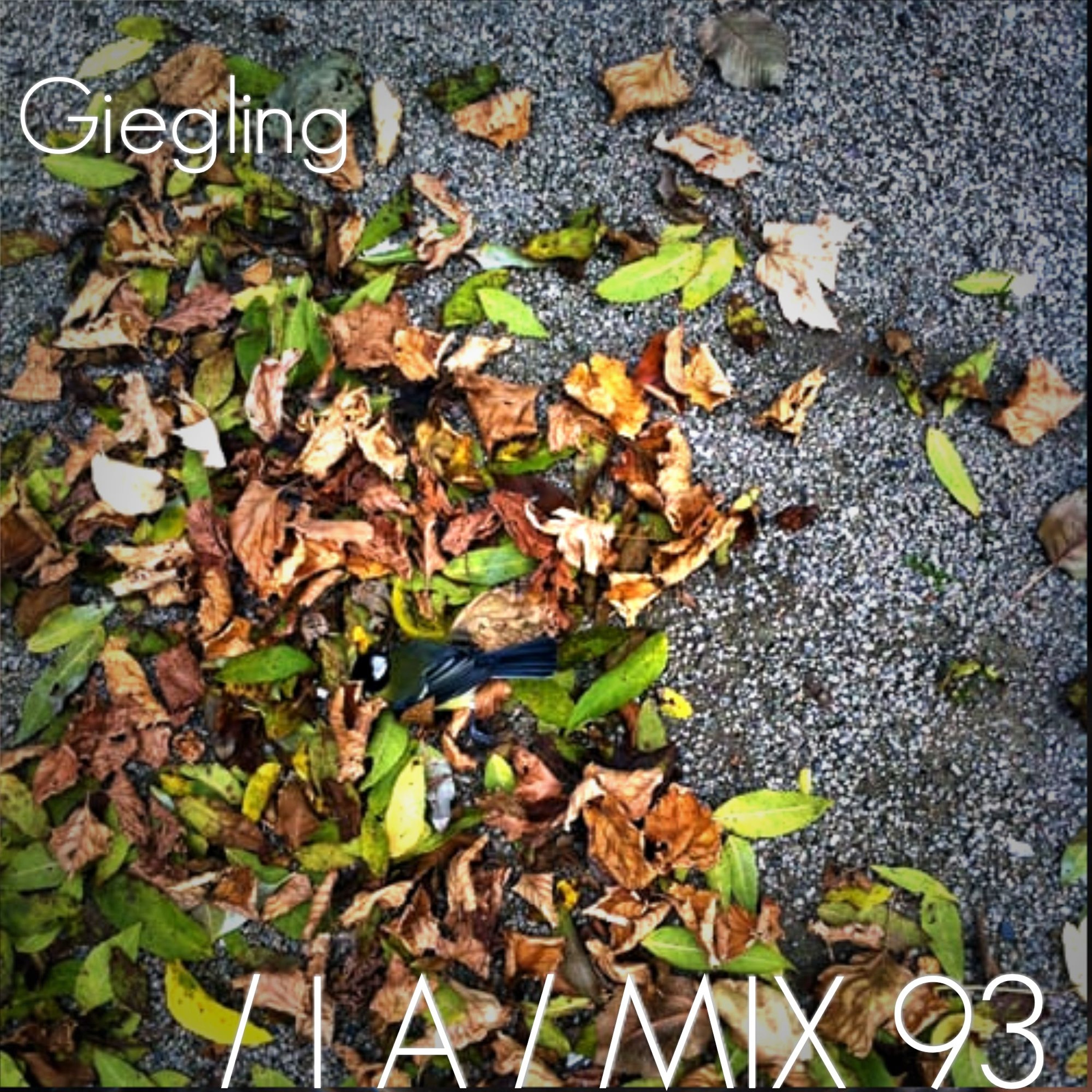 IA MIX 93 Giegling episode artwork