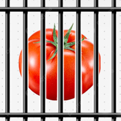 FUCK TOMATO! (prod silo)