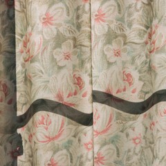 If you were coming in the fall, (demo)