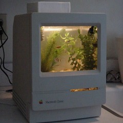 F O R E V E R (public terminal)