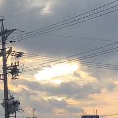 Dawn