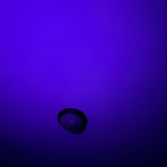 Void Anhedonia