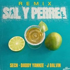 Sech, Daddy Yankee, J Balvin - Sal Y Perrea (Remix)