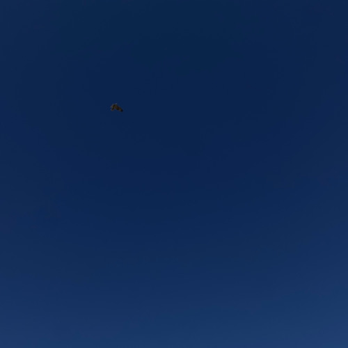 No Moon At All